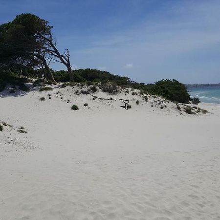 Casaale Lägenhet Alghero Exteriör bild